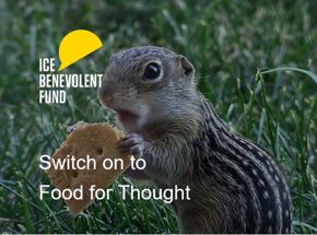 Switch on to Food for Thought chipmunk.jpg