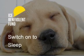 Switch on to Sleep puppy.jpg