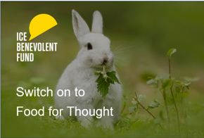 Switch on to Food for Thought rabbit.jpg