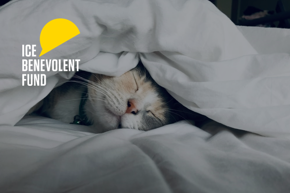 Switch On To Sleep Cat